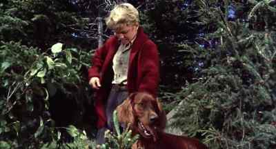 Come on, mechant chien. - Big Red