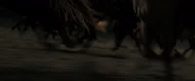 Come on, men! - Django Unchained