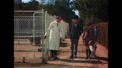 Come on, now. Get in with you. - Lassie Come Home