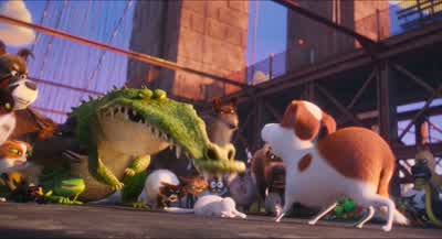 Come on, now. - The Secret Life of Pets