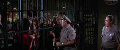 Come on now.
Settle down. Settle down. - Girl Happy