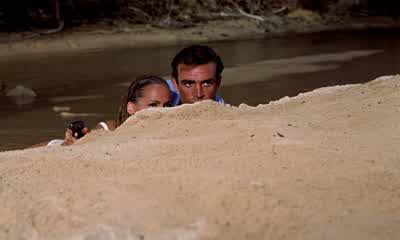 Come on out! - Dr  No