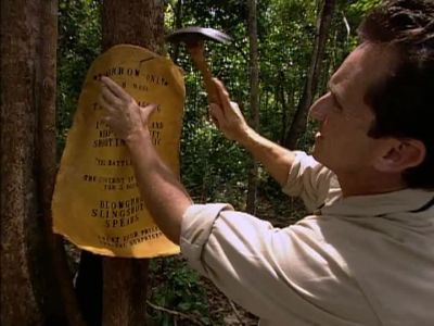 Come on over guys - Survivor