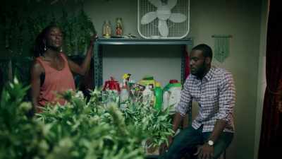 Come on.
( phone signal beeps ) - Queen Sugar
