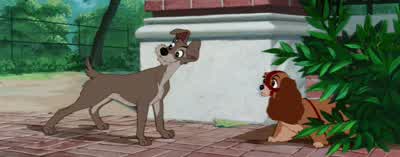 Come on, Pige. - Lady and the Tramp