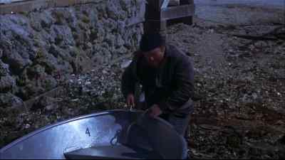 Come on, Porter! - Flipper