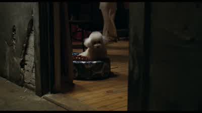 Come on, Precious! - The Silence of the Lambs