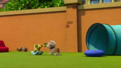 Come on, pups. - Pretzel and the Puppies