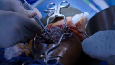 Come on, Quan,
show me the good stuff. - Chicago Med