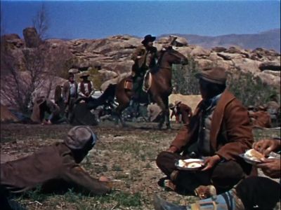 Come on rebs stir it up - Springfield Rifle