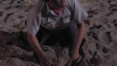 Come on regroup, come on - The Beach Girls