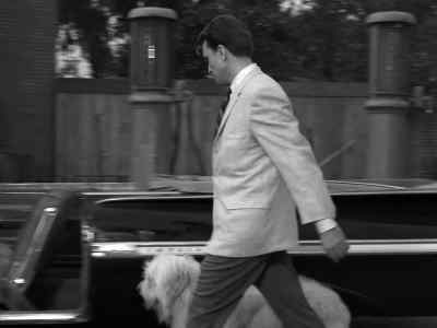 Come on, rollie, get in here, get in here. - The Twilight Zone