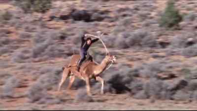 Come on, Rosie.
Move! Let's go! - One Little Indian