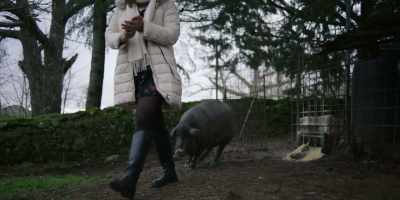 Come on, run. Let's go. Run. - Omnivore