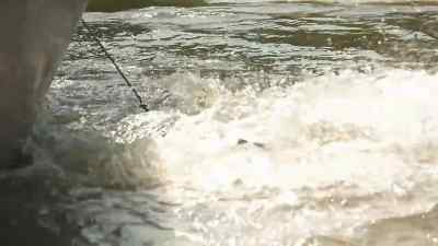             Come on! - Swamp People