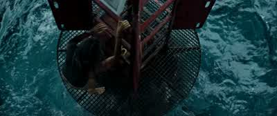 Come on. - The Shallows