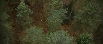 Come on. - Eden Lake