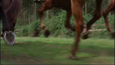 Come on. - Black Beauty