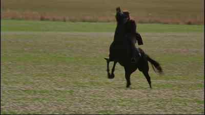 Come on. - Black Beauty