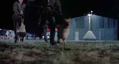 - Come on! - To Be or Not to Be