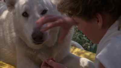 Come on. - White Dog
