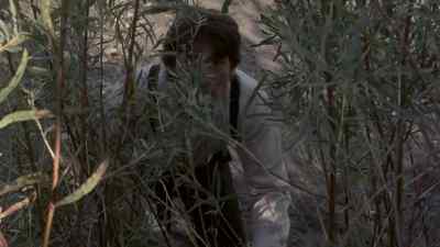 Come on! - Days of Heaven