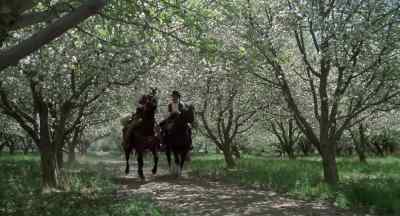 Come on! - Butch and Sundance: The Early Days