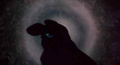 Come on. - Watership Down