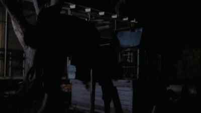 Come on! - Night Moves