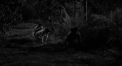 Come on. - To Kill a Mockingbird