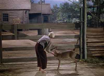 Come on. - The Yearling
