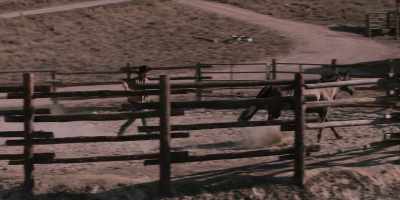 Come on. - Yellowstone