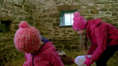 Come on! - Our Yorkshire Farm