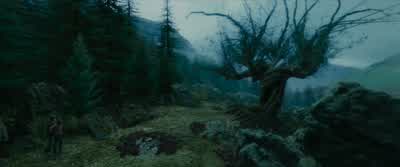 Come on! - Harry Potter and the Prisoner of Azkaban