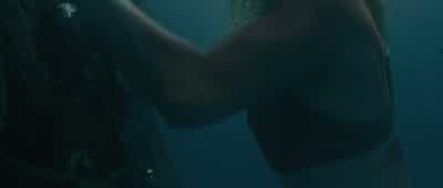 Come on! - Killer Whale