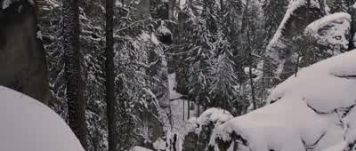 Come on. - The Chronicles of Narnia: The Lion, the Witch and the Wardrobe