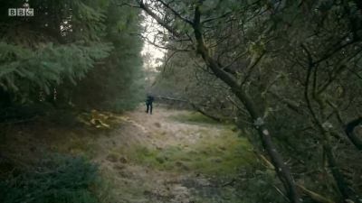 Come on! - Top Gear
