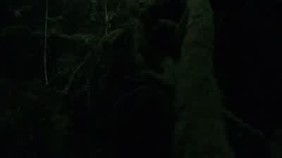 Come on! - The 100