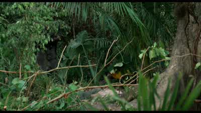 Come on. - Predator