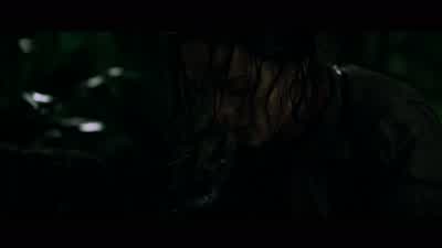 - Come on. - Predators