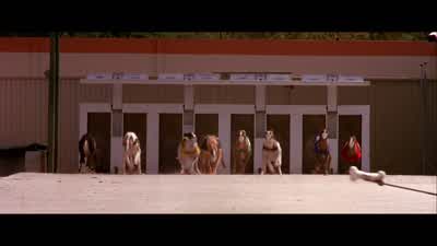 Come on! - Donnie Brasco