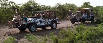 Come on! - Ace Ventura: When Nature Calls