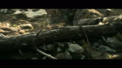 Come on. - Lone Survivor