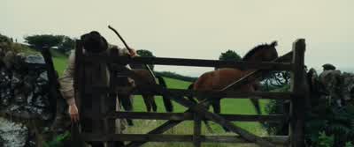 Come on. - War Horse