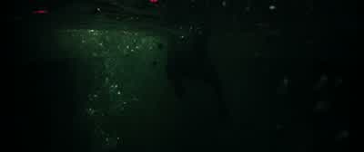 Come on. - Crawl