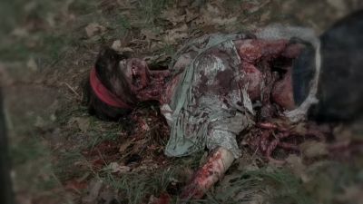 Come on! - The Walking Dead