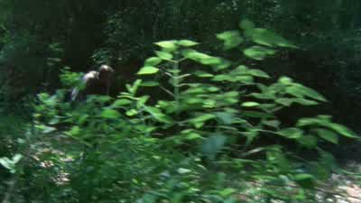 Come on! - The Walking Dead