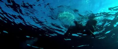 Come on. - Shark Bait