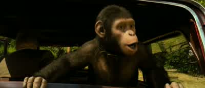 Come on! - Rise of the Planet of the Apes