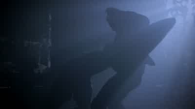 Come on, Scott. - Teen Wolf